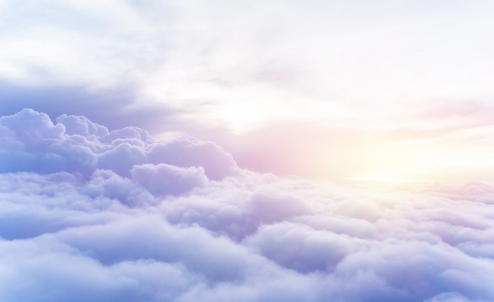 davis-freedom_sized-710x434