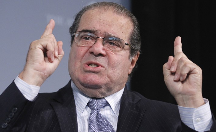 Scalia_sized-710x434