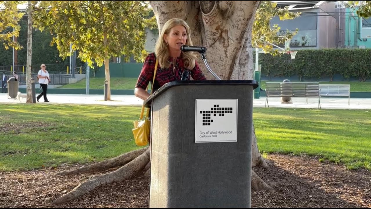 Lisa Bloom Speaks at a Rally Against the Texas Abortion Law
